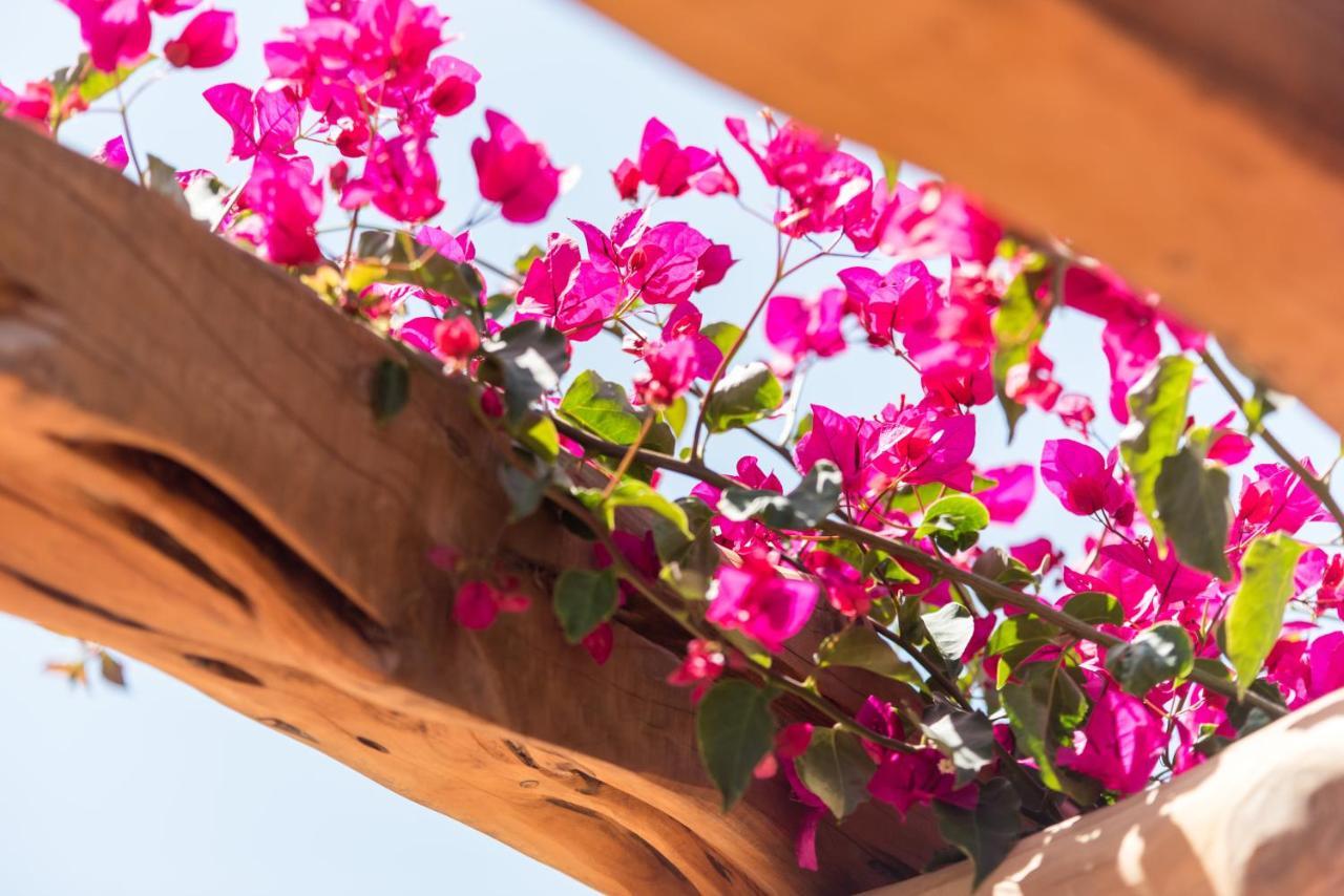 Valley Club Ibiza - Boutique Agroturismo سانت جون دي لابريتجا المظهر الخارجي الصورة