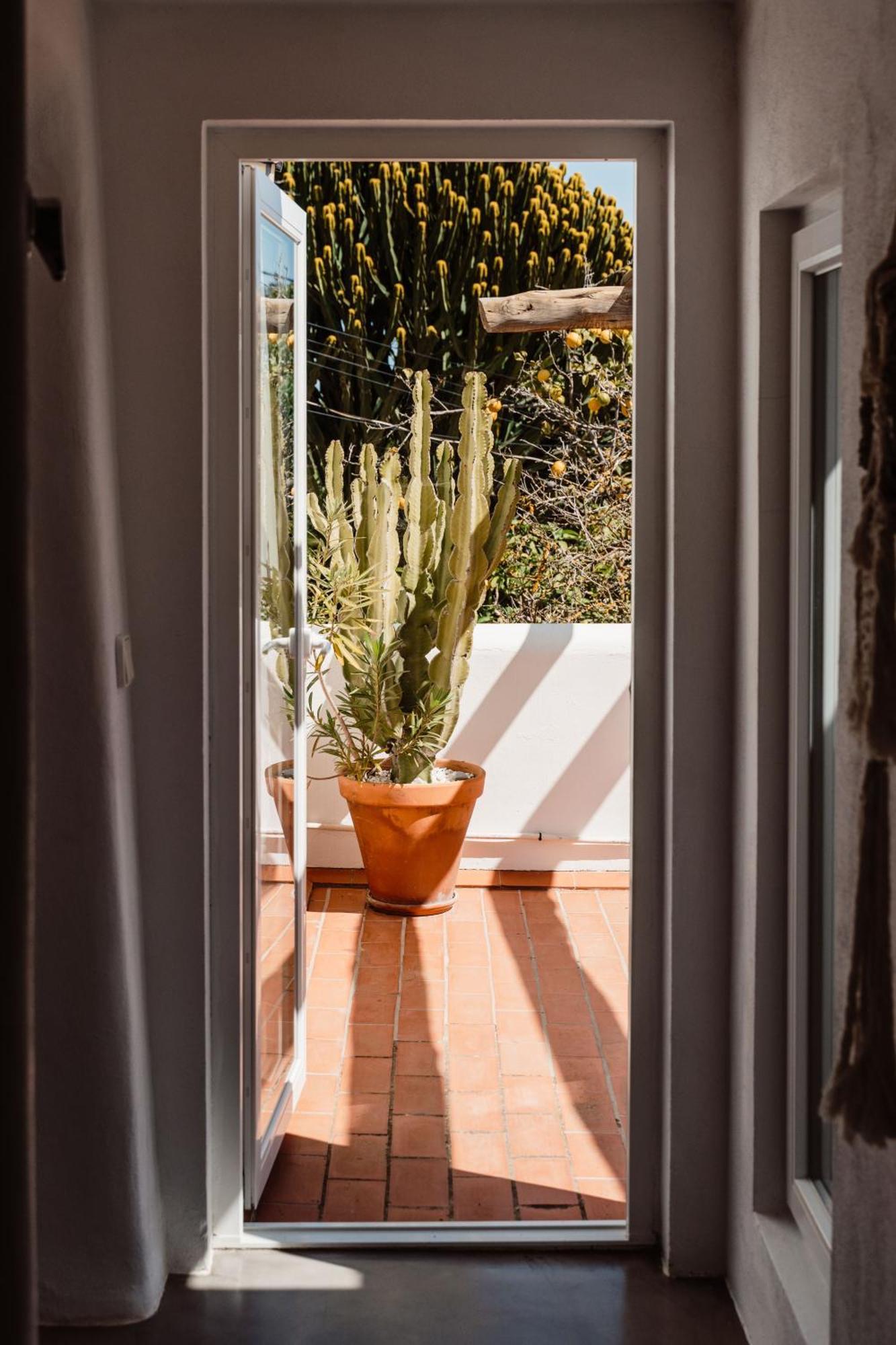 Valley Club Ibiza - Boutique Agroturismo سانت جون دي لابريتجا الغرفة الصورة