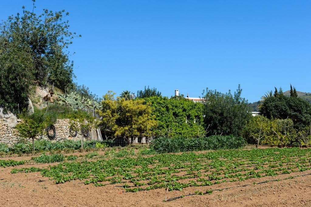 Valley Club Ibiza - Boutique Agroturismo سانت جون دي لابريتجا المظهر الخارجي الصورة